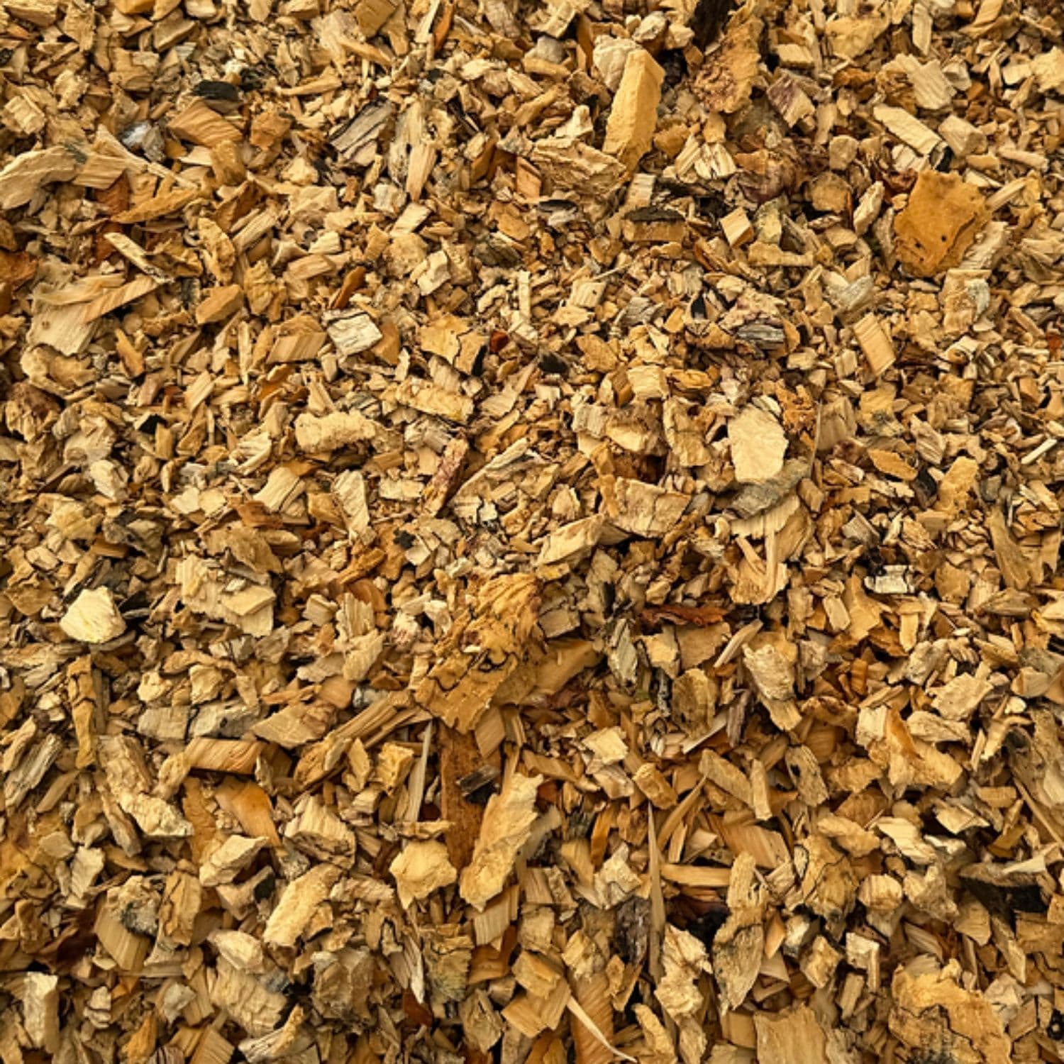 A close-up view of shredded wood chip ground cover.