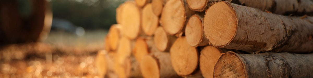 A close-up stack of cut tree logs showing rough bark and circular wood ends, photographed outdoors with a blurred natural background.